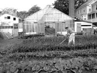 Being “Overthrown”—a Celebration