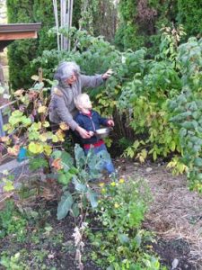 Greening Your ’Hood