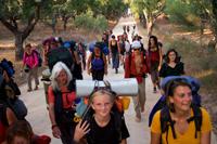 To Learn Sustainability Is to Learn Community