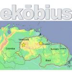 Ekobius International by Ecology Crossroads
