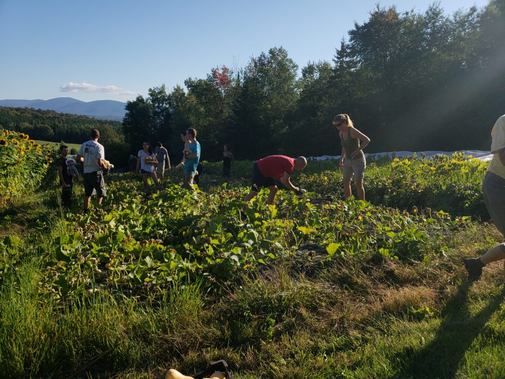 What keeps living community thriving