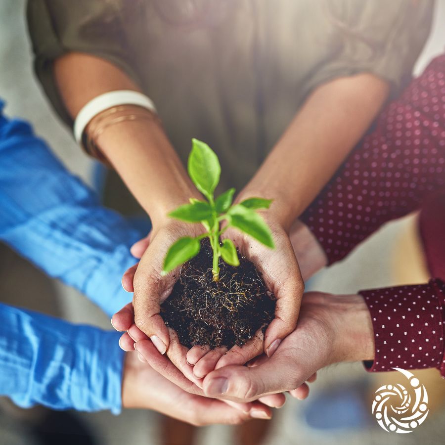 Pro Tips for Starting an IC product image