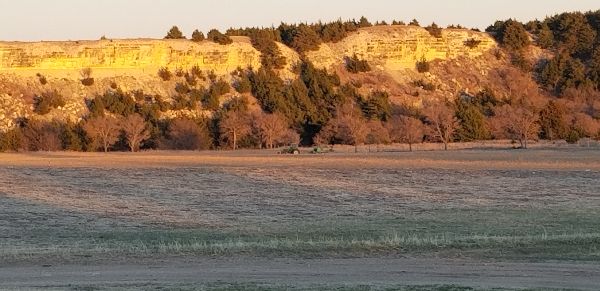 Scenic landscape with rolling hills and trees at sunset.