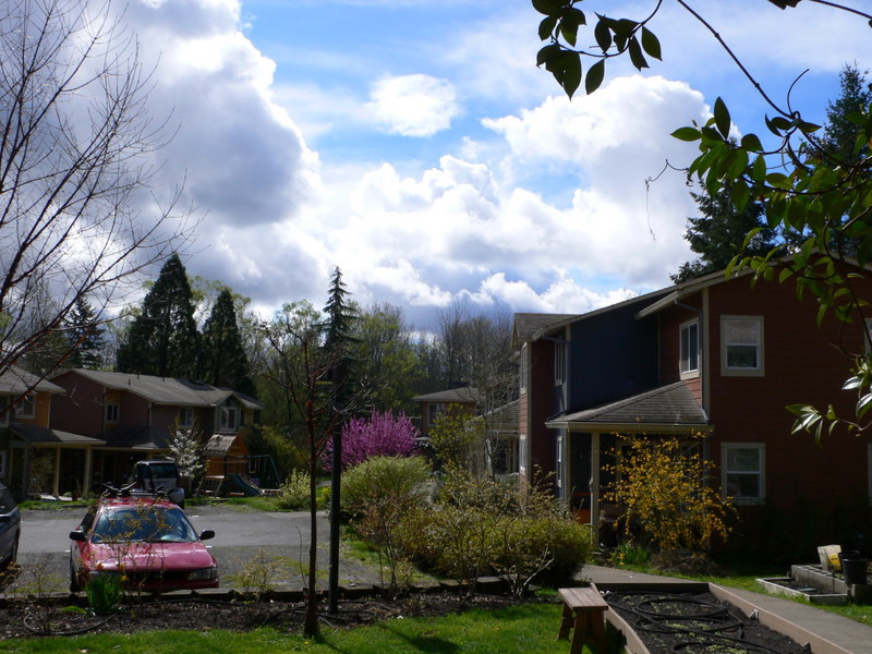 Northside parking lot looking into plaza