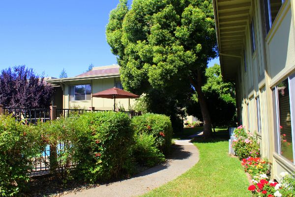 Lush garden with trees, shrubs, and a pathway at the Foundation for Intentional Community.
