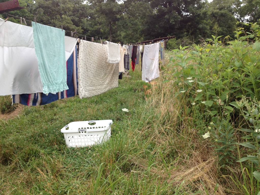 clothes-line1.jpg