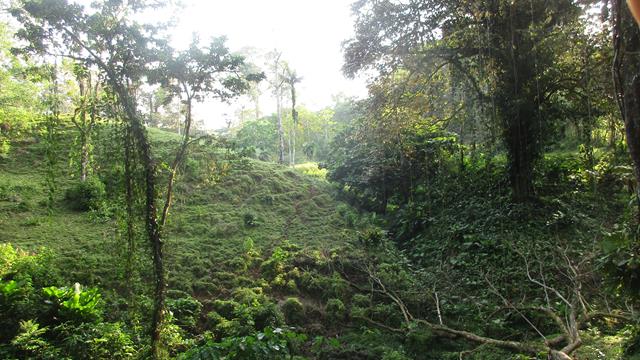 landscape.jpg