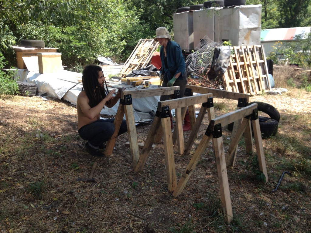 sawhorse41.jpg