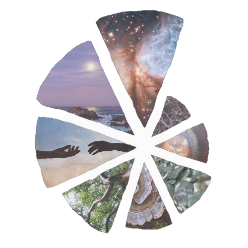 Collage of nature, cosmos, and human connection images for community focus.