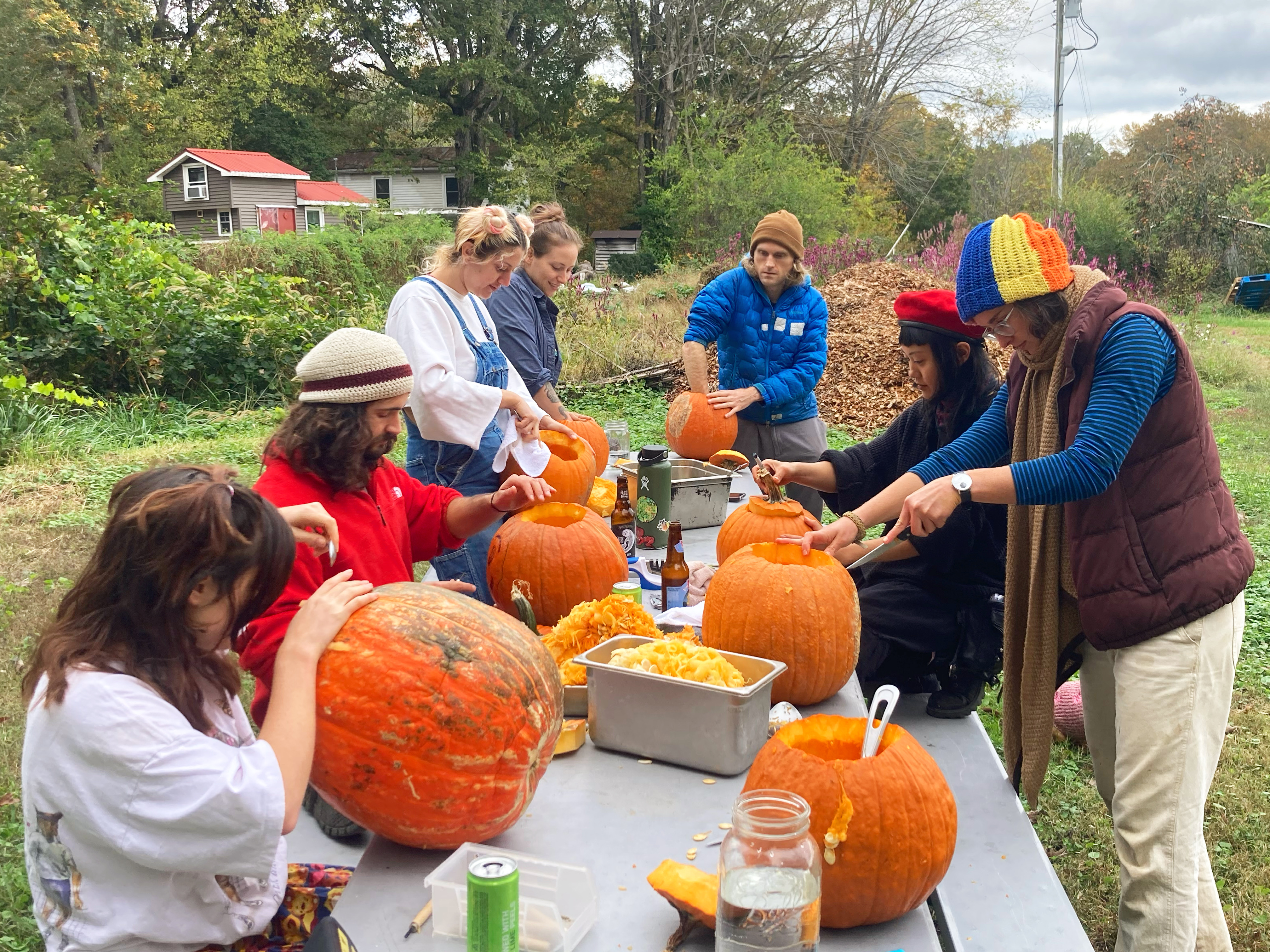 People carving pumpkins outdoors for community event at Acorn Community Farm.
