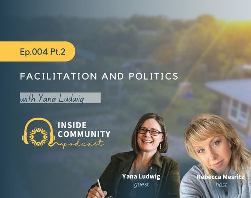 Podcast cover image for Facilitation and Politics with Yana Ludwig episode 4.2.
