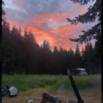 Conscious Culture Cooperative